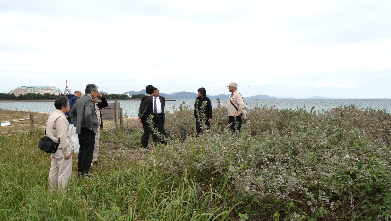 現地視察の様子