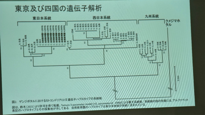 遺伝子解析結果のスライド