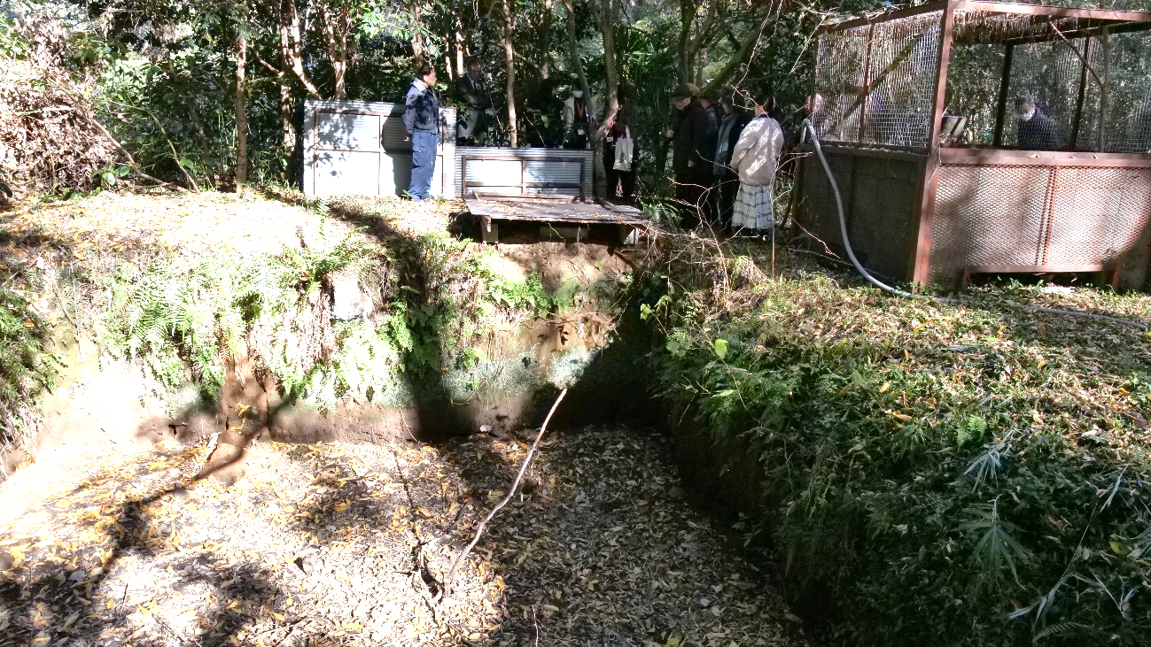 水が抜かれた池の写真