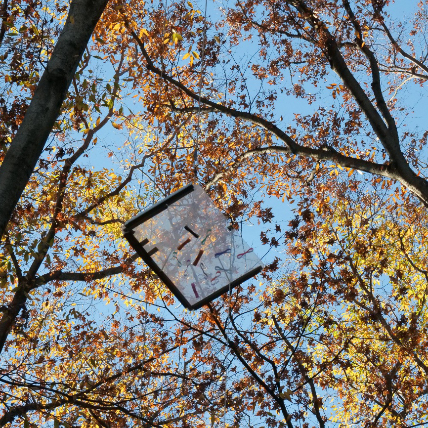 木々の間につるされたタネの模型