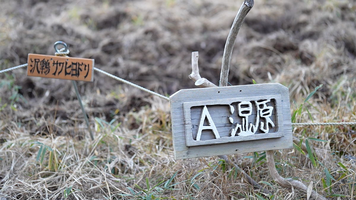 手作りの看板の写真